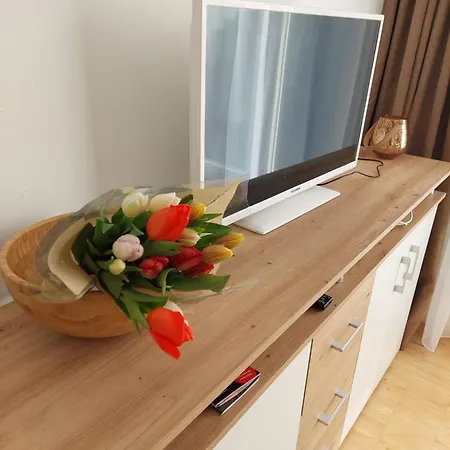 Apartmán Ila *
